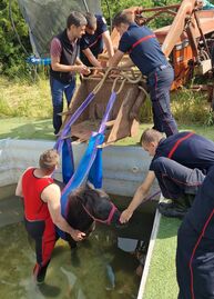 Opérations diverses