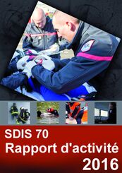 Rapport d'activité 2016