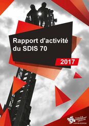 Rapport d'activité 2017